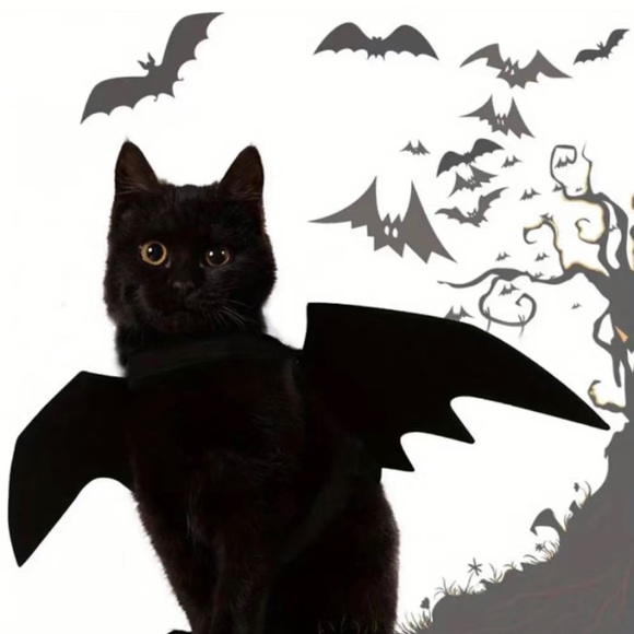 NWT Bat Wings For Your Cat Or Small Dog - Picture 6 of 6